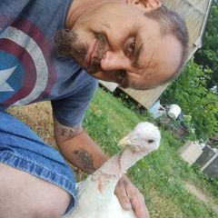 Charlie - Tiktok Profile Picture of Charlie (@jamessligh4) on Tiktok