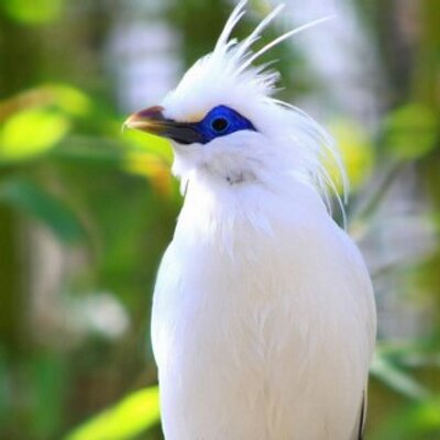 Profile Picture of Abul Hossain (@AbulhossainAbul) on Twitter