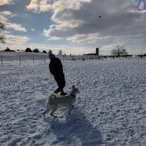 Profile Picture of Nicole Staios (@nicole_sta) on Poshmark