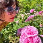 Jessica Zodrow - Instagram Profile Picture of Jessica Zodrow (@jessicazodrowpdx) on Instagram