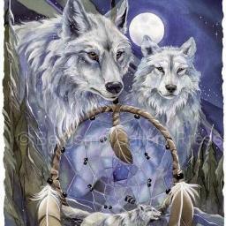 Profile Picture of Traci Colby (@TSC_Lifestyle) on Twitter