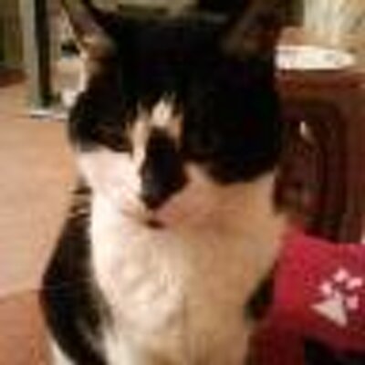 Profile Picture of Janet Quinton (@aj25po) on Twitter