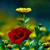 Profile Picture of Walna Benjamin (@walna.benjamin.3) on Facebook