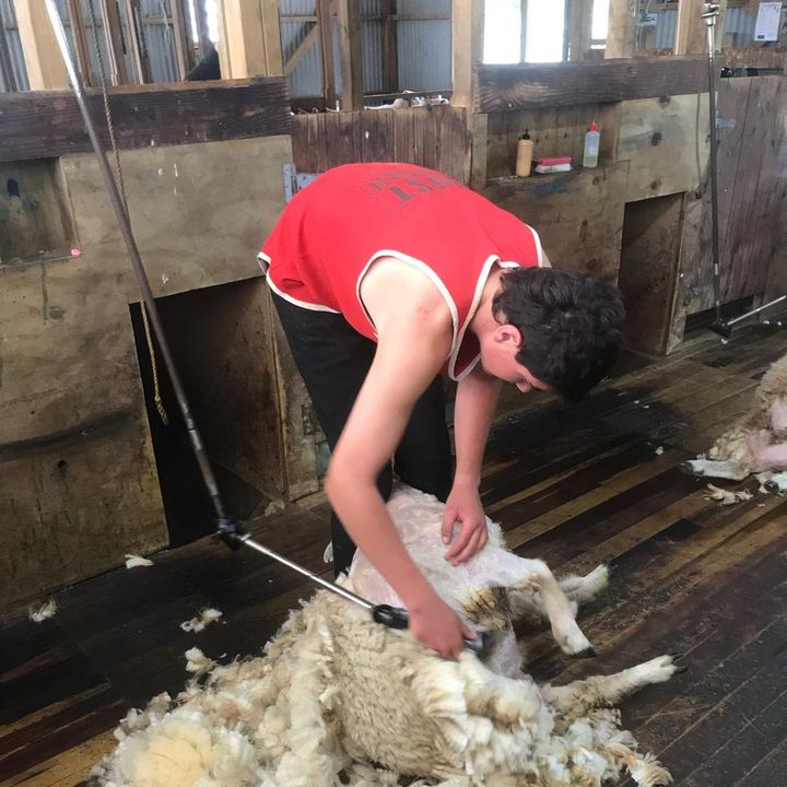Profile Picture of georgeprouting (@georgeprouting6) on Tiktok