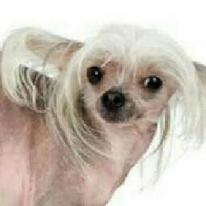 Profile Picture of Judy Crutcher (@judy.crutcher) on Tiktok