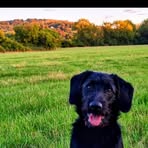 Profile Picture of Conner Coleman (@Conner-Coleman) on Facebook