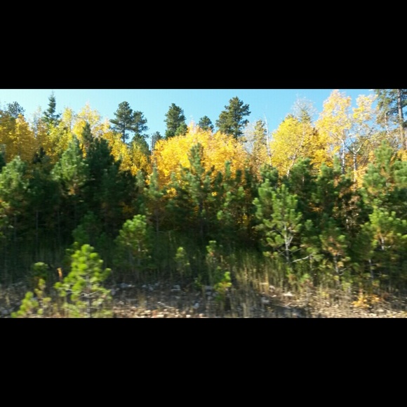 Profile Picture of Joezette Prokosch (@ettezeoj) on Poshmark