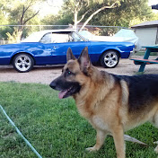 Profile Picture of Tony Barrientez (@tonybarrienteztb) on Youtube