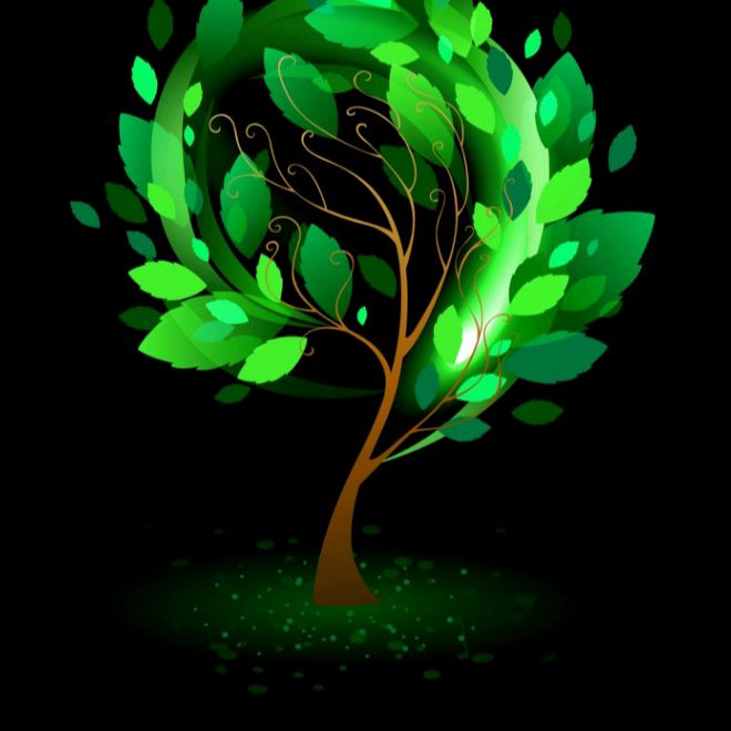 Profile Picture of Forest (@forest_center_theaters) on Tiktok