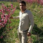 Profile Picture of mohamad hamadani (@hamadani.mohamad) on Instagram