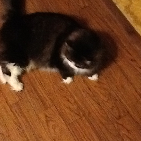 Profile Picture of Patti Zielinski (@zpatti) on Poshmark