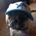 Profile Picture of Jeff Muszynski (@jeff.muszynski.5) on Facebook