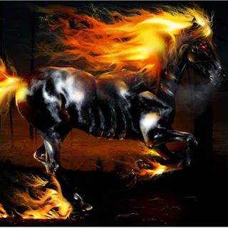 Profile Picture of Robert Eugene Melfi (@Robert-Eugene-Melfi) on Facebook