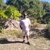Profile Picture of Andrew Stefaans (@andrew.stefaans) on Facebook