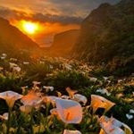 Profile Picture of M Graber1234 (@marlene.graber) on Instagram