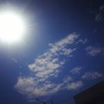 Profile Picture of miki_yim_ (@miki_yim_) on Instagram