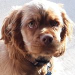 Profile Picture of Gary Farkas (@gary12345) on Instagram