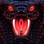 Profile Picture of Robin Farmer (@to0lzx) on Instagram