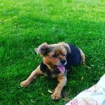 Profile Picture of Shirley Baumgartner Wallace (@ssw1955) on Instagram