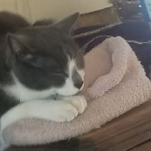 marshalltague - Tiktok Profile Picture of marshalltague (@marshalltague) on Tiktok