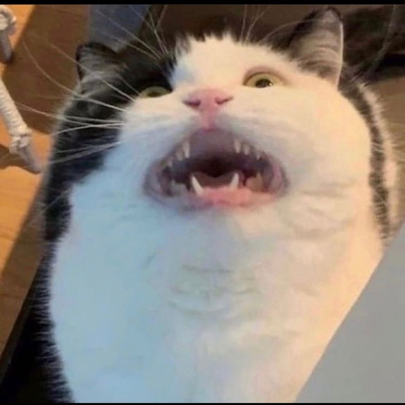 Profile Picture of Alexander Penny (@alexander_penny) on Poshmark