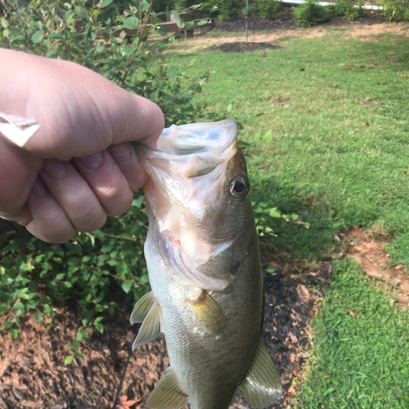 Win Dyleski - Poshmark Profile Picture of Win Dyleski (@wind03) on Poshmark