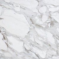 Profile Picture of Carly Morgan (@carly-morgan-4) on Quora