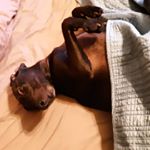 Profile Picture of Patrick Pinder (@pinder.patrick) on Instagram