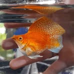 Profile Picture of Christopher L. Amparo (@Christopher-L-Amparo) on Facebook