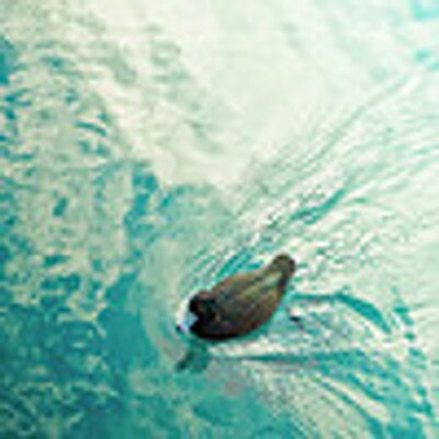 Profile Picture of Rick Hopper (@rickhopper82) on Twitter