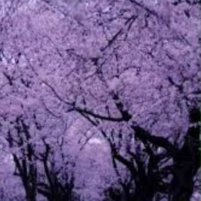 Naomi Marlene Abraham Martínez - Twitter Profile Picture of Naomi Marlene Abraham Martínez (@NaomiMarleneAb1) on Twitter