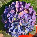 Profile Picture of mariette steenkamp (@mariette.steenkamp) on Instagram