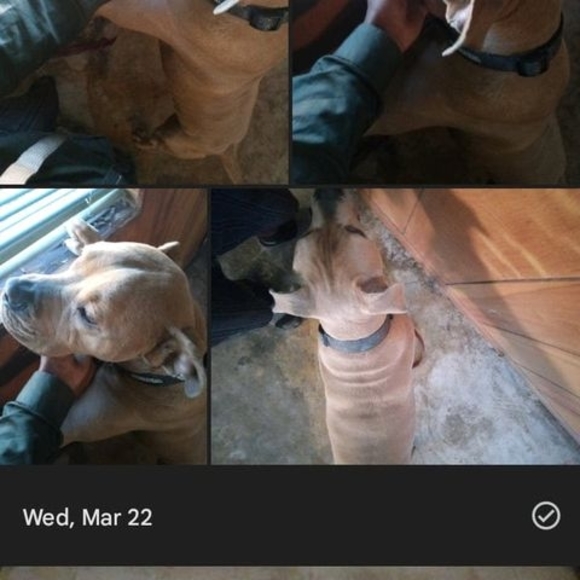 Profile Picture of Gregory Gonzalez (@power7778) on Poshmark