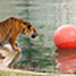 Profile Picture of Michael Fowler (@mikeef1) on Flickr