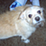 Profile Picture of John Humphries (@johnhumphries37604) on Flickr