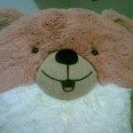Profile Picture of Terry Chau (@terry.chau.779) on Instagram