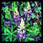 Brian Fanning - Instagram Profile Picture of Brian Fanning (@fanning580) on Instagram