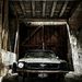 Profile Picture of Joseph Chiaramonte (@joechiara459) on Pinterest