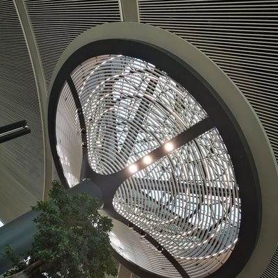 Profile Picture of Kevin Qin (@Kevinqin628) on Twitter