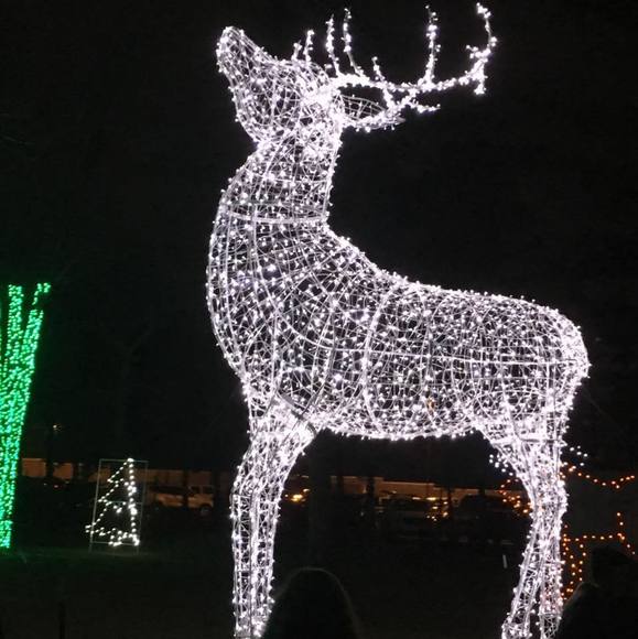 Profile Picture of David Avery (@davery_48818) on Poshmark