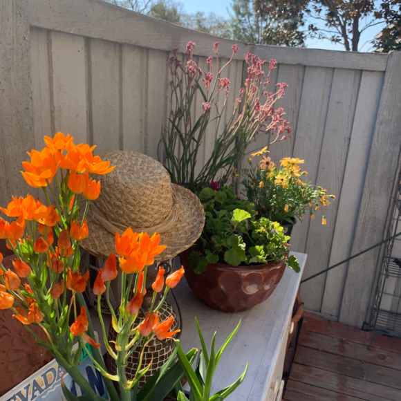 Profile Picture of Kelli Nix (@righton70) on Poshmark