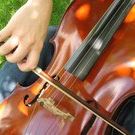 Profile Picture of Sara Sorensen (@cellosara) on Pinterest