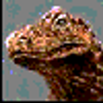 Profile Picture of Darin Watson (@tdizzybf) on Twitter