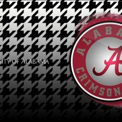 Profile Picture of Bradley Joe Gossett (@GossettBradley) on Twitter