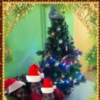 Profile Picture of Cassandra Louis (@cassandra-louis-9) on Quora