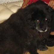 Profile Picture of Patrick Wiens (@patrickandmariv) on Pinterest