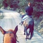 Profile Picture of Petra Dragičević (@pera_dragicevic) on Instagram