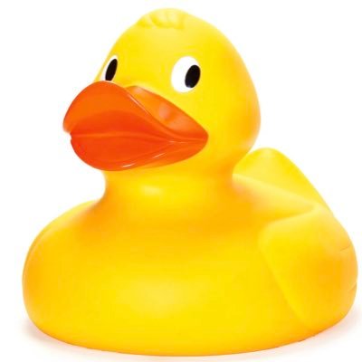 Profile Picture of Brian Forsberg (@brian_forsberg) on Twitter