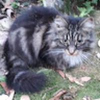 Profile Picture of Martin Bowes (@martin-bowes-4) on Quora