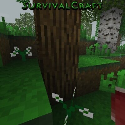 Profile Picture of Kevin Waters (@kevinwaters20) on Twitter